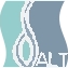 CSALT logo